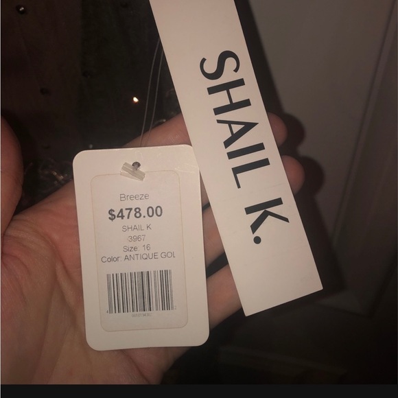 Size 16 Shail K formal gown - Picture 8 of 8